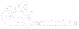 logo xochi